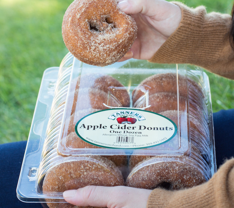 Apple Cider Donut